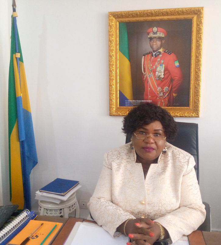 Biographie du Ministre Délégué 